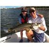 Image 3 : 3 Days of Fishing for 2 Anglers near Marco Island/Naples Florida SFP Fishing Outfitters