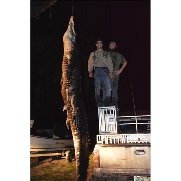 Florida Alligator and Hog Hunt God’s County Outfitters