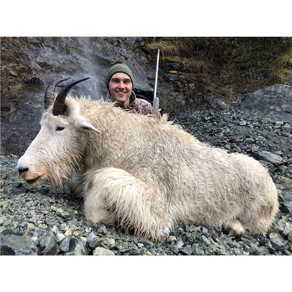 Mountain Goat Hunt in British Columbia Last Frontier Hunting Company