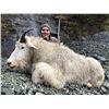 Image 1 : Mountain Goat Hunt in British Columbia Last Frontier Hunting Company