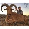 Image 1 : West Texas Trophy Aoudad Hunt for 1 Hunter High West Outfitters