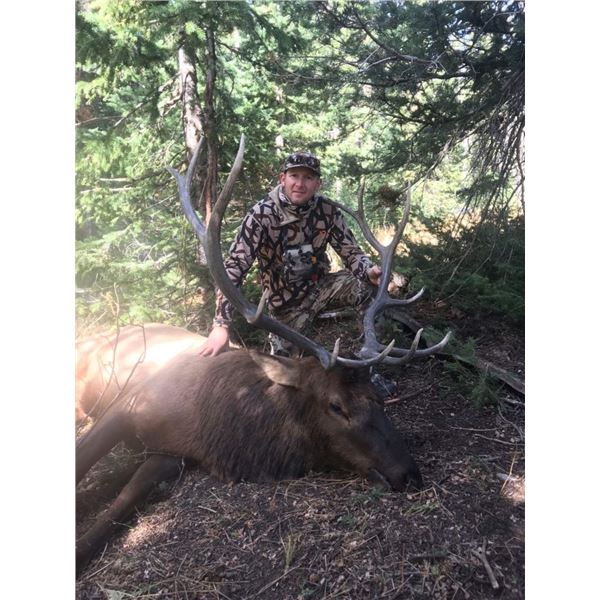 Elk Drop Camp for 2 Hunters in Montana Centennial Outfitters