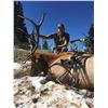 Image 2 : Elk Drop Camp for 2 Hunters in Montana Centennial Outfitters