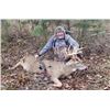 Image 1 : Trophy Whitetail Hunt in Kansas for 2 hunters Bell Wildlife Specialties