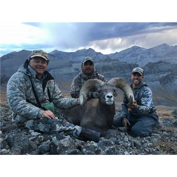 2022 WYOMING GOVERNOR’S ROCKY MOUNTAIN BIGHORN SHEEP LICENSE