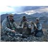 Image 1 : 2022 WYOMING GOVERNOR’S ROCKY MOUNTAIN BIGHORN SHEEP LICENSE
