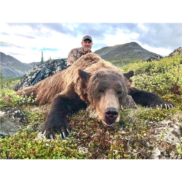 Yukon Grizzly Hunt Yukon Big Game Outfitters
