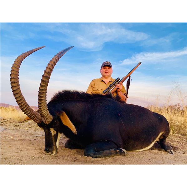 Sable Hunt for 2 hunters each hunter takes a sable Bosveld Jacobs