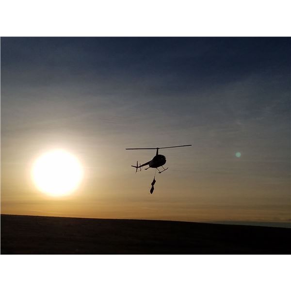 Texas Big Game Capture and Research Texas Parks and Wildlife