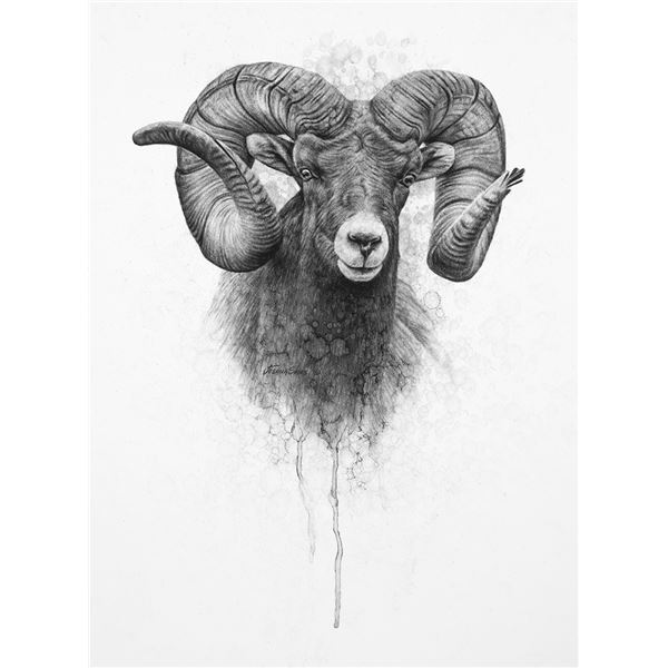 Custom Original Charcoal Drawing by Josh Spies Joshua Spies Fine Art