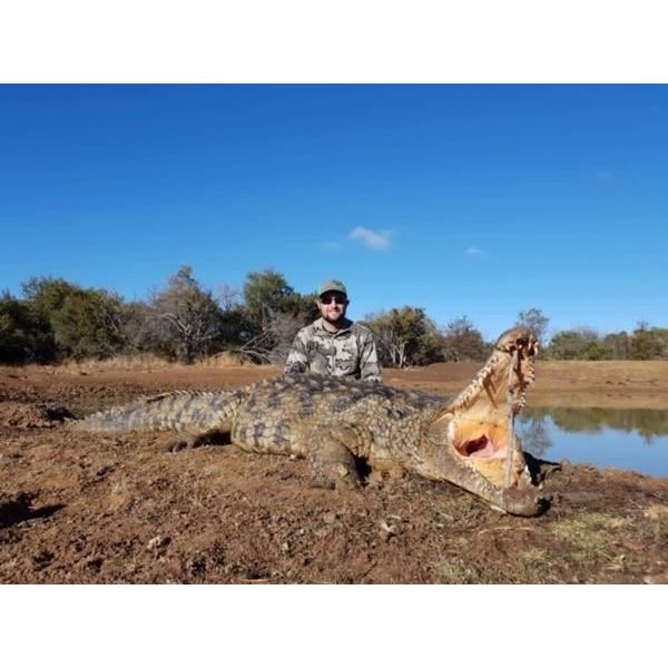 2 Crocodiles for Two Hunters and Two Non-Hunters Sensational Hunting Safaris