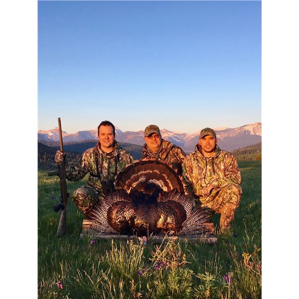 2022/2023 ALBERTA MIRRIAM’S TURKEY MINISTER’S SPECIAL PERMIT