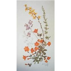 Set of Botanical Wildflowers by Britzke #2125753