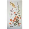 Image 1 : Set of Botanical Wildflowers by Britzke #2125753