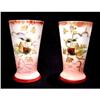Image 1 : 2 Opaline Glasses with Enamel Decoration #2126426