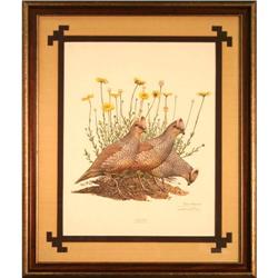 Scaled Quail, by Ray Harm print birds #2150590