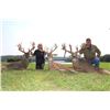 Image 2 : Ohio 3-Day Whitetail Deer Hunt For Two Hunters
