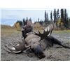 Image 1 : Alaska Turnagain Arm Any Bull Moose Special Permit (SM210)
