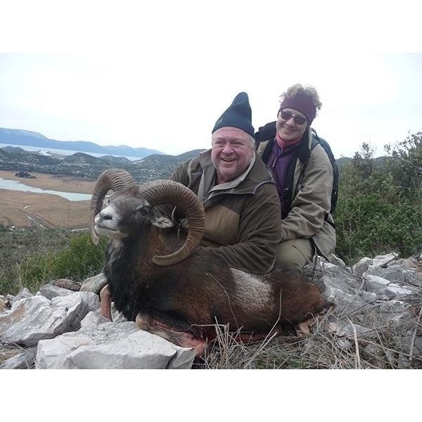 Croatia 7-Day Mouflon Sheep and Balkan Chamois Hunt for One Hunter and One Observer
