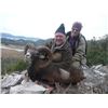 Image 1 : Croatia 7-Day Mouflon Sheep and Balkan Chamois Hunt for One Hunter and One Observer