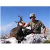 Image 2 : Croatia 7-Day Mouflon Sheep and Balkan Chamois Hunt for One Hunter and One Observer