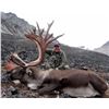 Image 1 : Alaska Western Talkeetna Mountains Caribou Special Permit (SC590)