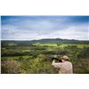 Image 2 : Argentina 4-Day Dove Hunt for Four Shooters