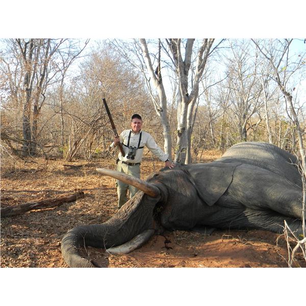 Zimbabwe 10-Day Non-Exportable Elephant Safari for One Hunter