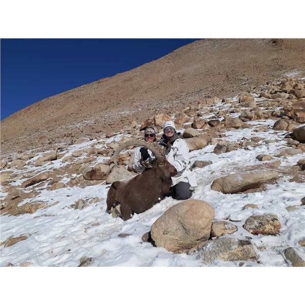 Tajikistan 7-Day Mid-Asian Ibex hunt for Two Hunters