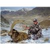 Image 2 : Tajikistan 7-Day Mid-Asian Ibex hunt for Two Hunters