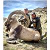 Image 3 : Tajikistan 7-Day Mid-Asian Ibex hunt for Two Hunters