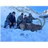Image 4 : Tajikistan 7-Day Mid-Asian Ibex hunt for Two Hunters