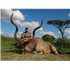 Image 2 : South Africa 7-Day Hunt for Four Hunters