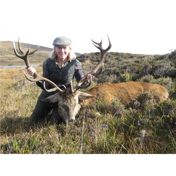Scotland 5-Day/6-Night Red Stag And Soay Sheep Hunt