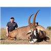 Image 2 : South Africa 6-Day Roan Antelope Hunt for Two Hunters