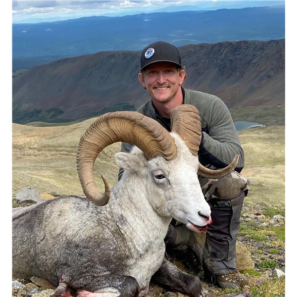 British Columbia 10-Day Stone Sheep Hunt for One Hunter