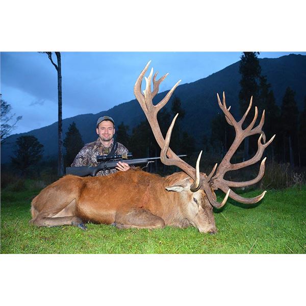 New Zealand 5-Day Red Stag Hunt for One Hunter