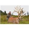 Image 2 : New Zealand 5-Day Red Stag Hunt for One Hunter