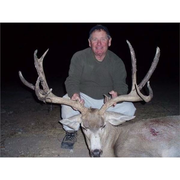 Mexico 5-Day Monster Mule Deer Hunt for One Hunter