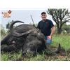 Image 4 : Tanzania 7-Day Cape Buffalo Hunt For One Hunter