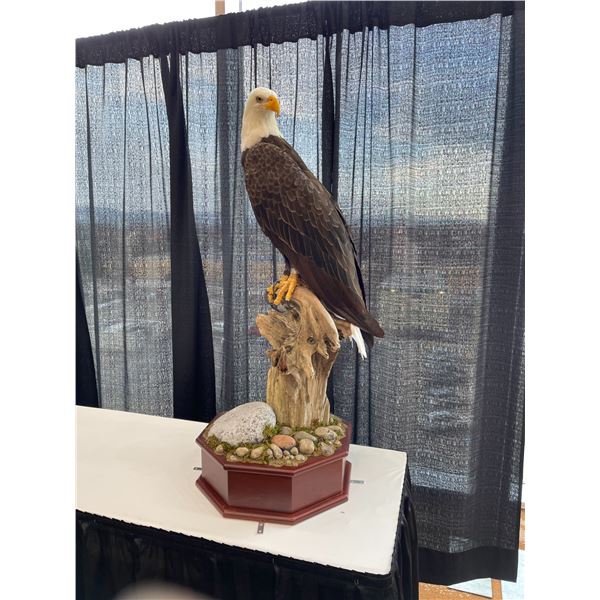 American Bald Eagle by Artist Jim Day