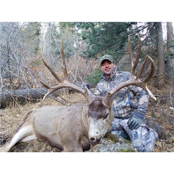 New Mexico 5-Day Rifle Mule Deer Hunt for Two Hunters