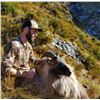 Image 2 : New Zealand 5-Day Bull Tahr Hunt for One Hunter