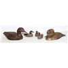 Image 1 : COLLECTION OF DUCK FIGURES INCLUDES 5 DUCKS