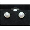 Image 1 : #236-FRESH WATER PEARL STUD EARRINGS