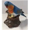 Image 1 : SINGING SENSOR BIRD 9" TALL NEEDS BATTERIES