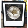 Image 1 : GLASS FRONTED WHITE FLOWER PICTURE 32" X 38"