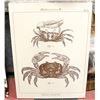 Image 1 : CRABS CANVAS PRINT APPROX 30" X 40"