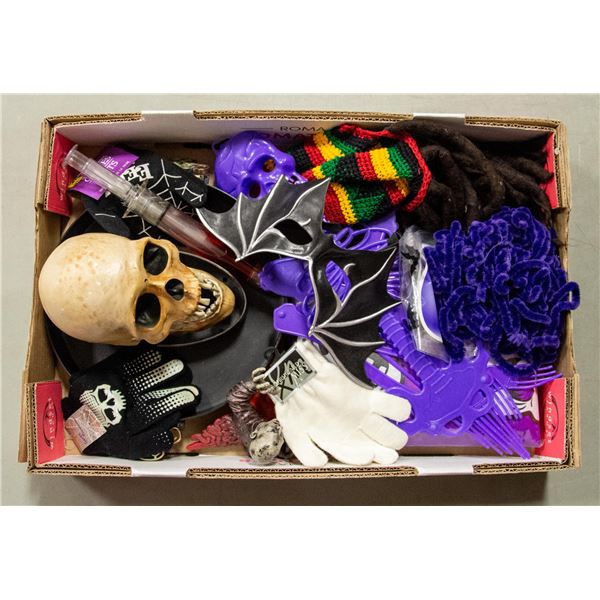 BOX WITH HALLOWEEN DECOR W/ LIGHT-UP TALKING SKULL