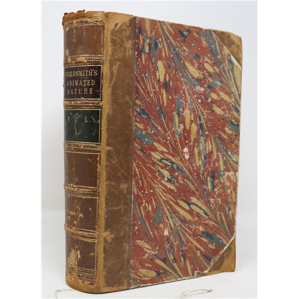 1852 FIRST EDITION HISTORY OF THE EARTH AND